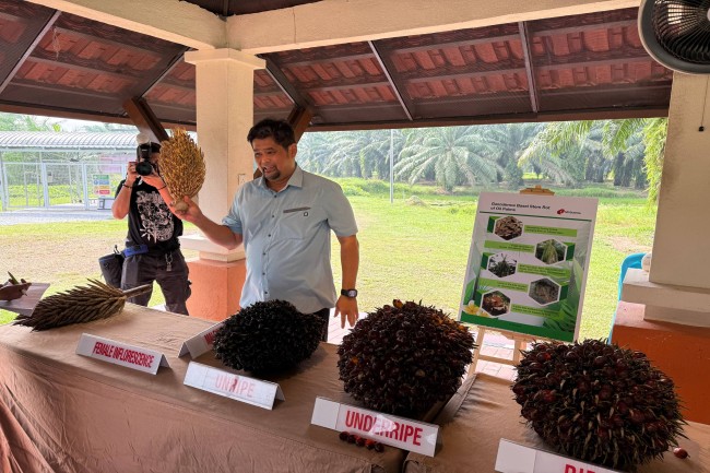 Malaysian Palm Oil Council organizes field visit for journalists